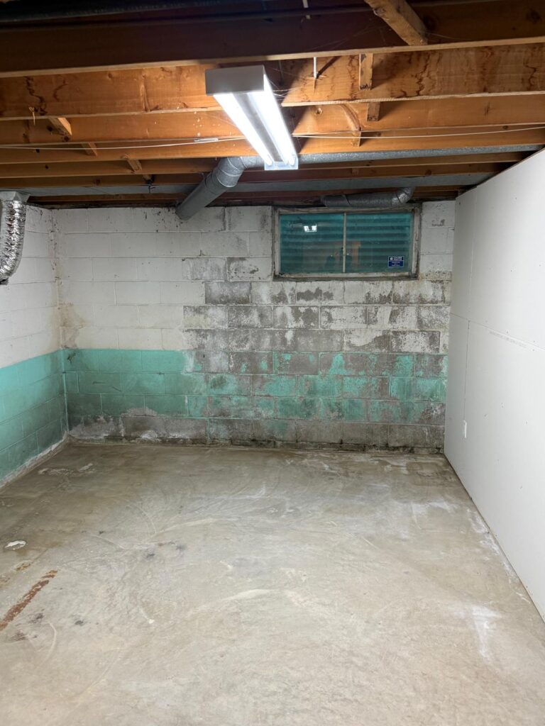 Mold Removal Cost by Area of the Home Mold Removal Cost by Area of the Home