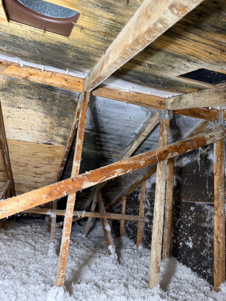 Attic Mold Removal in Toronto Attic Mold Removal in Toronto