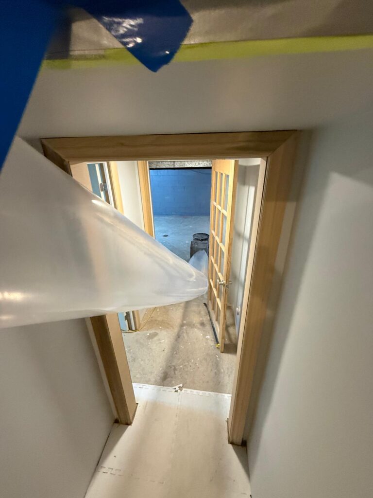 During Mold removal - during (toronto)