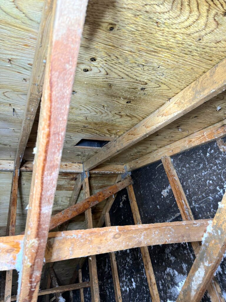 attic mold removal - after