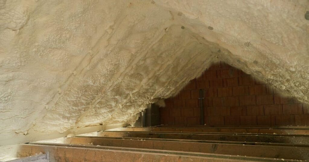 Insulation-Harboring-Mold