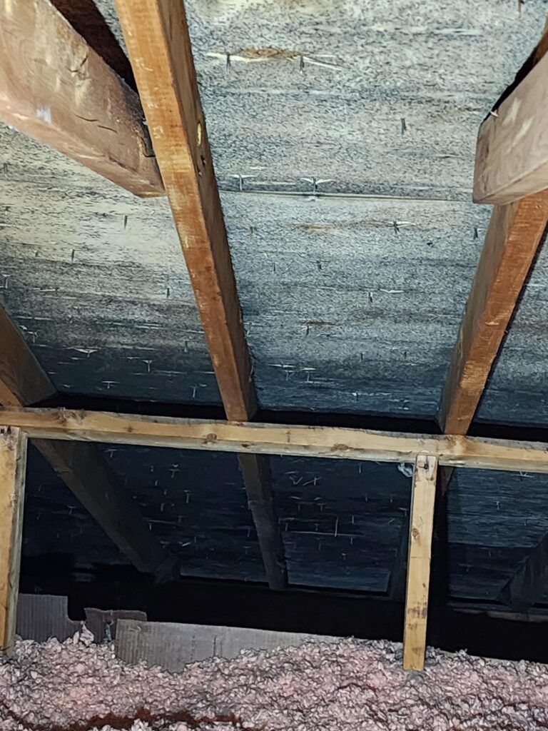 Mold After Roof Leak