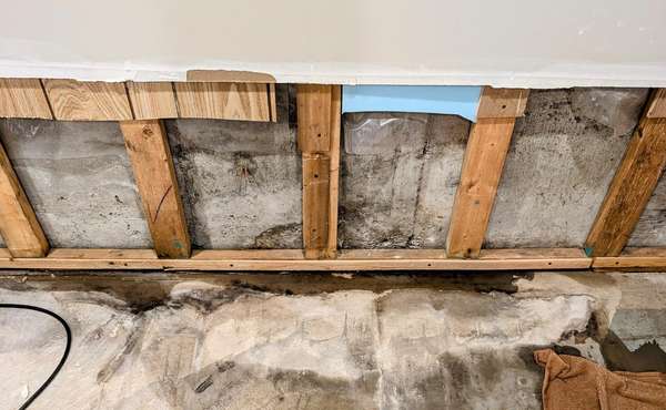 Mold Behind Finished Basement Walls