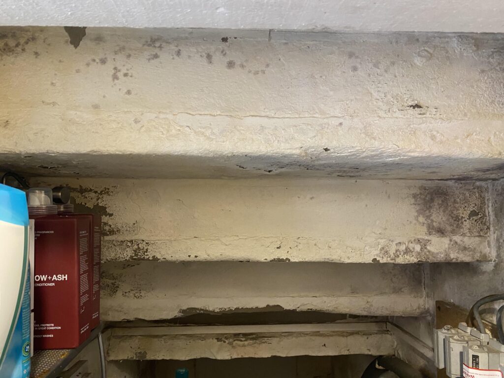Mold Removal Under Stairs & Enclosed Storage Areas in Basement Toronto