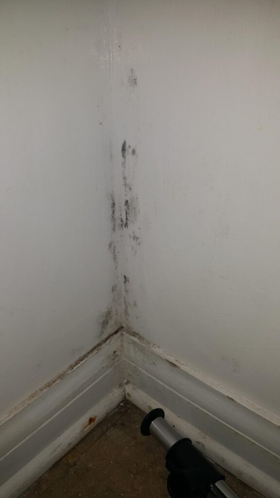 Mold in Closet & Wardrobe: Signs, Causes, Dangers & Removal
