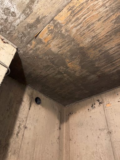 cold-room-moisture-mold-removal-toronto
cold-room-moisture-mold-removal-toronto