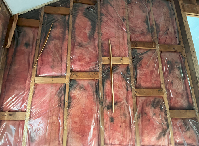 moldy-insulation-help