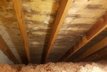 attic