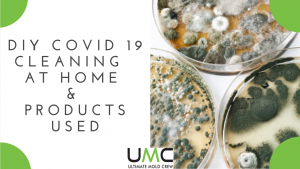 DIY COVID 19 Cleaning & Disinfecting At Home & Products Used