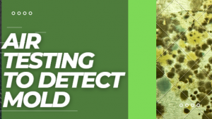 air testing and mold testing