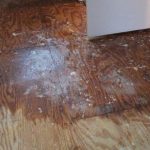 Water Damage Restoration checklist