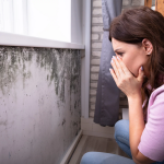 Mold in Rental House Landlord Responsibilities Tenant Rights Removal