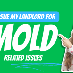 Can I Sue My Landlord for Black Mold Related Issues