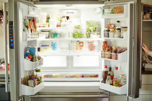 drip pan appliance mold growth mini fridge fridge door seal moldy refrigerator mold spores empty fridge hotel refrigerator door