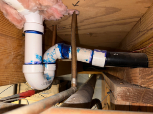 Stop Mold Growth in Pipes and Drains