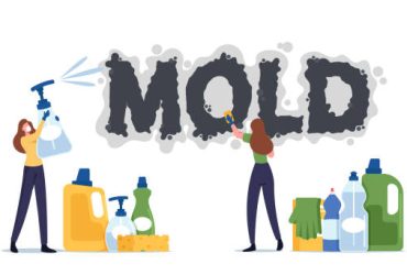 Mold Returning After Cleanup