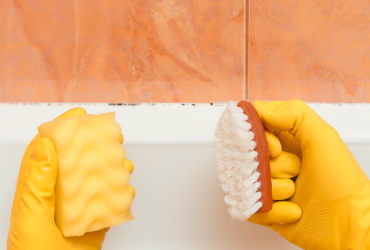 Borax for Mold Stain Removal Borax for Mold Stain Removal