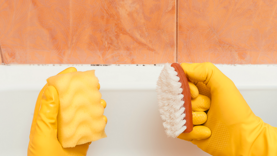Borax for Mold Stain Removal