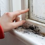 Remove Mold from Vinyl Window Frames