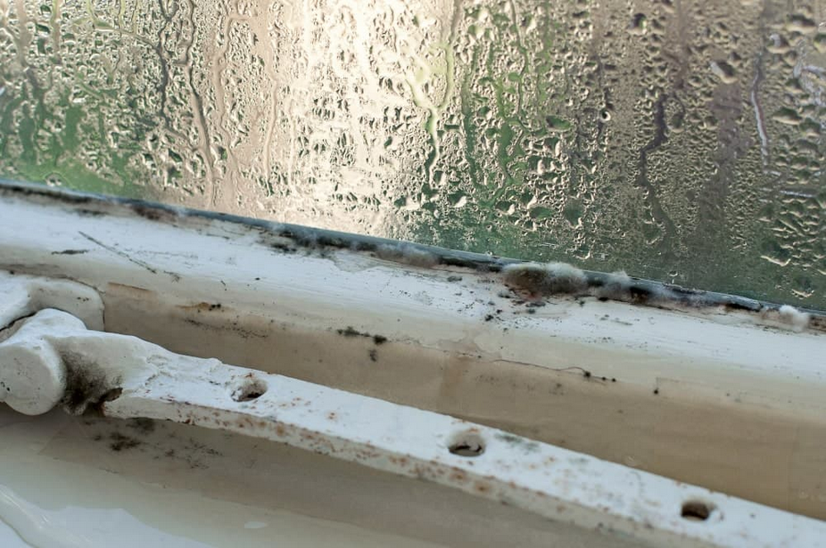 Wooden window sills Trim Condensation Mold growth Mold spores Cleaner Mold remediation Prevent mold Wooden window sills Trim Condensation Mold growth Mold spores Cleaner Mold remediation Prevent mold