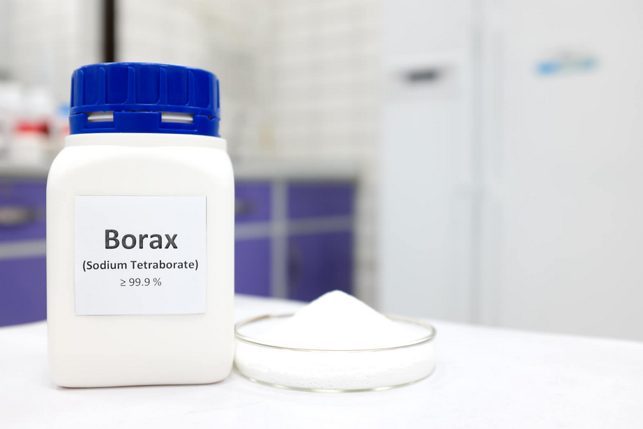 borax for mold removal