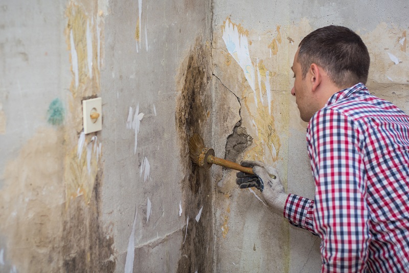 how to remove mold with hydrogen peroxide
