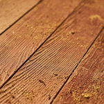 mold on hard wood floor