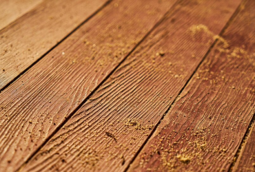 mold on hard wood floor mold on hard wood floor