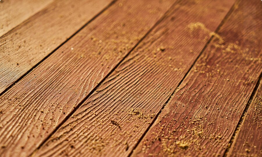 mold on hard wood floor