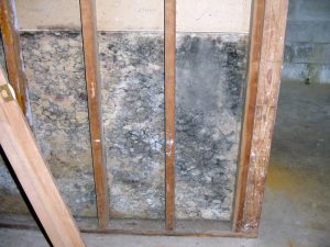 hidden signs of mold behind drywall health symptoms visual detect safe removal, repair steps prevention tips