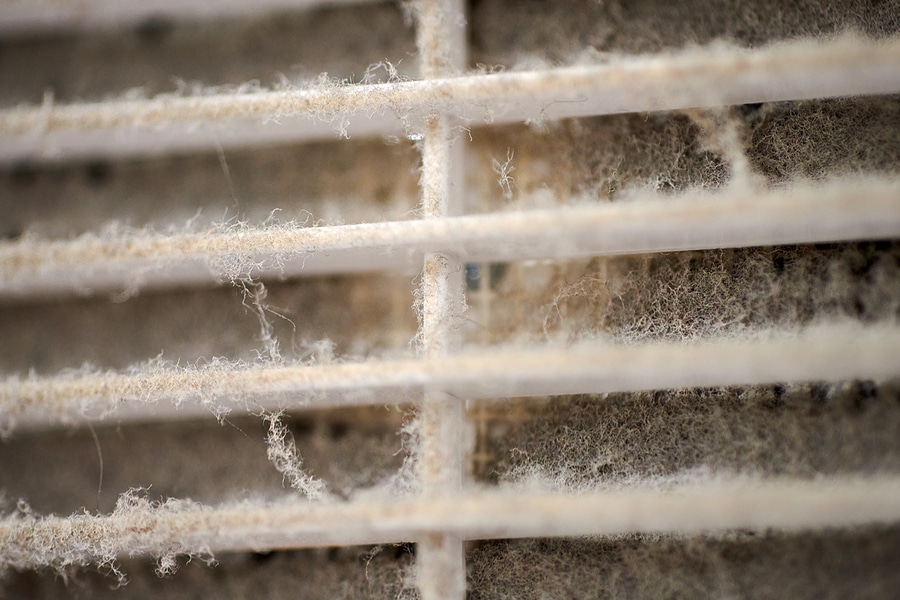 Mold-Claims-Denied-GTA