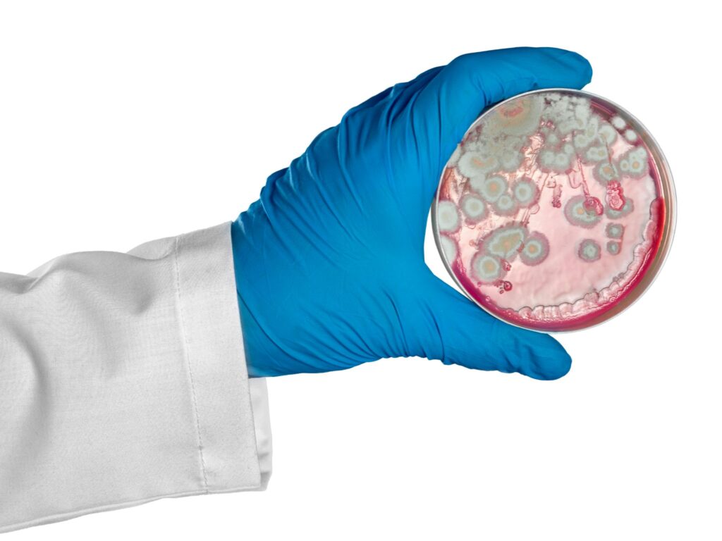 Winter Mold Impacts Air Quality