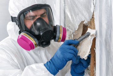 Mold remediation safety