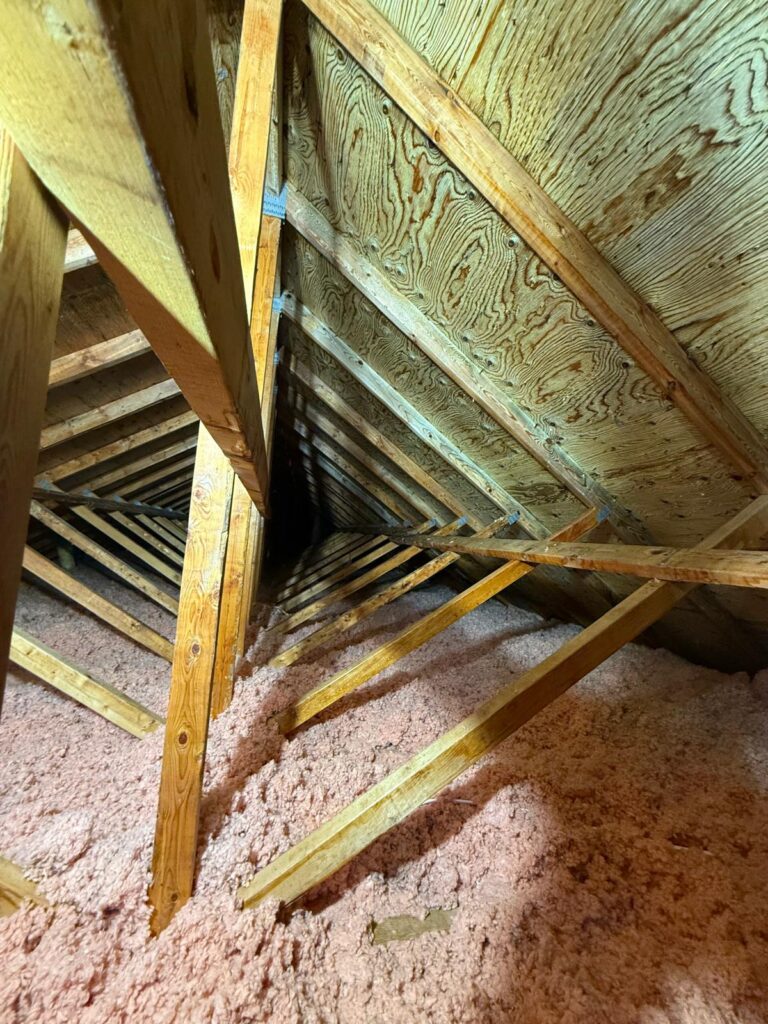 Attic mold removal -after