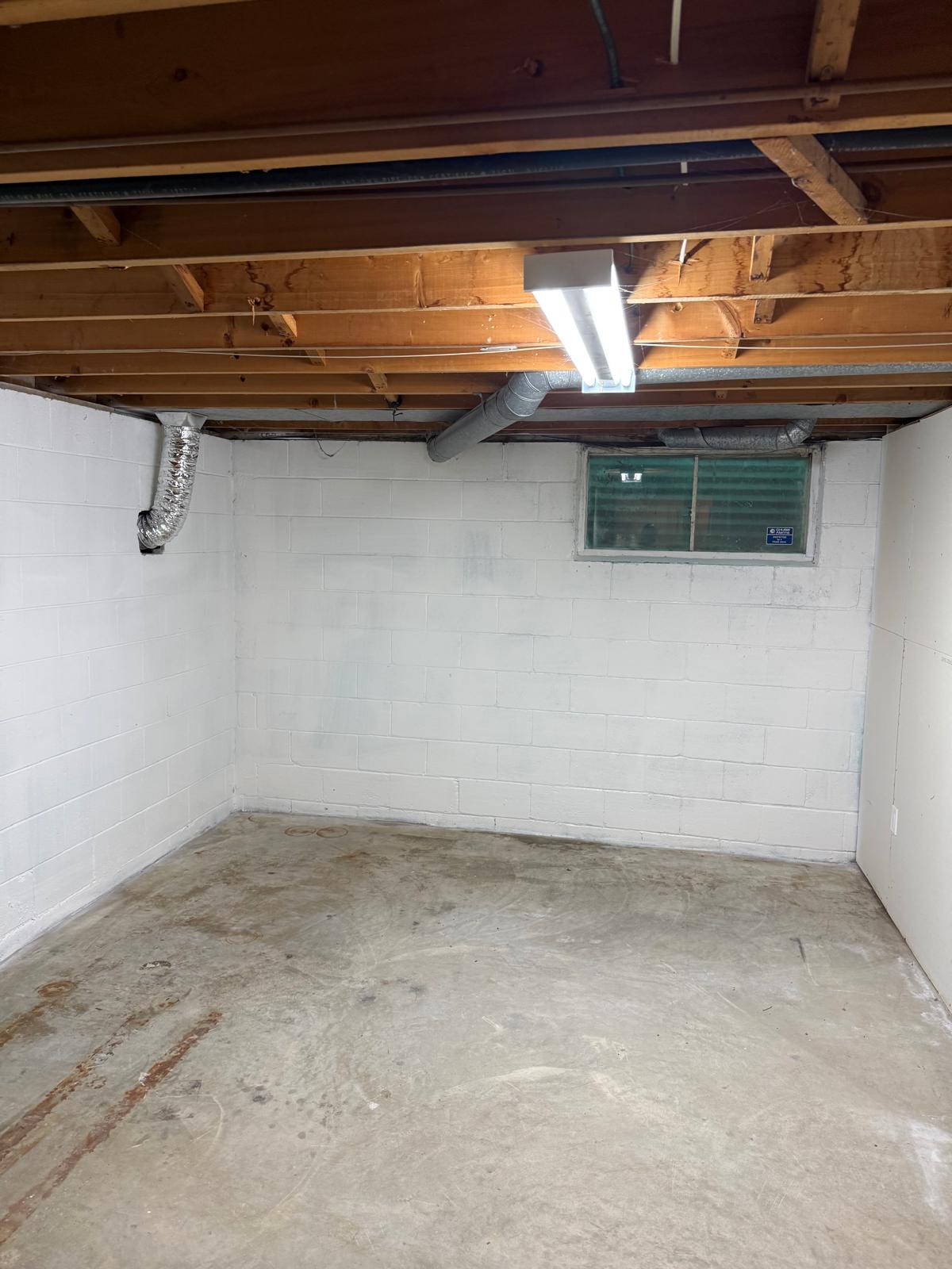 after basement Mold removal