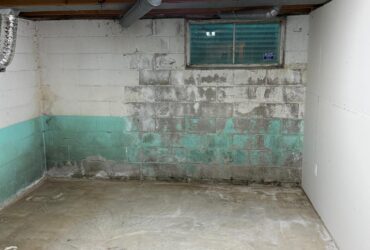 basement Mold removal - before (toronto) basement Mold removal - before (toronto)