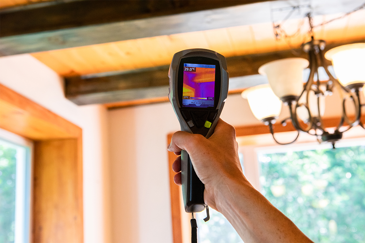 Indoor damp & air quality (IAQ) testing.