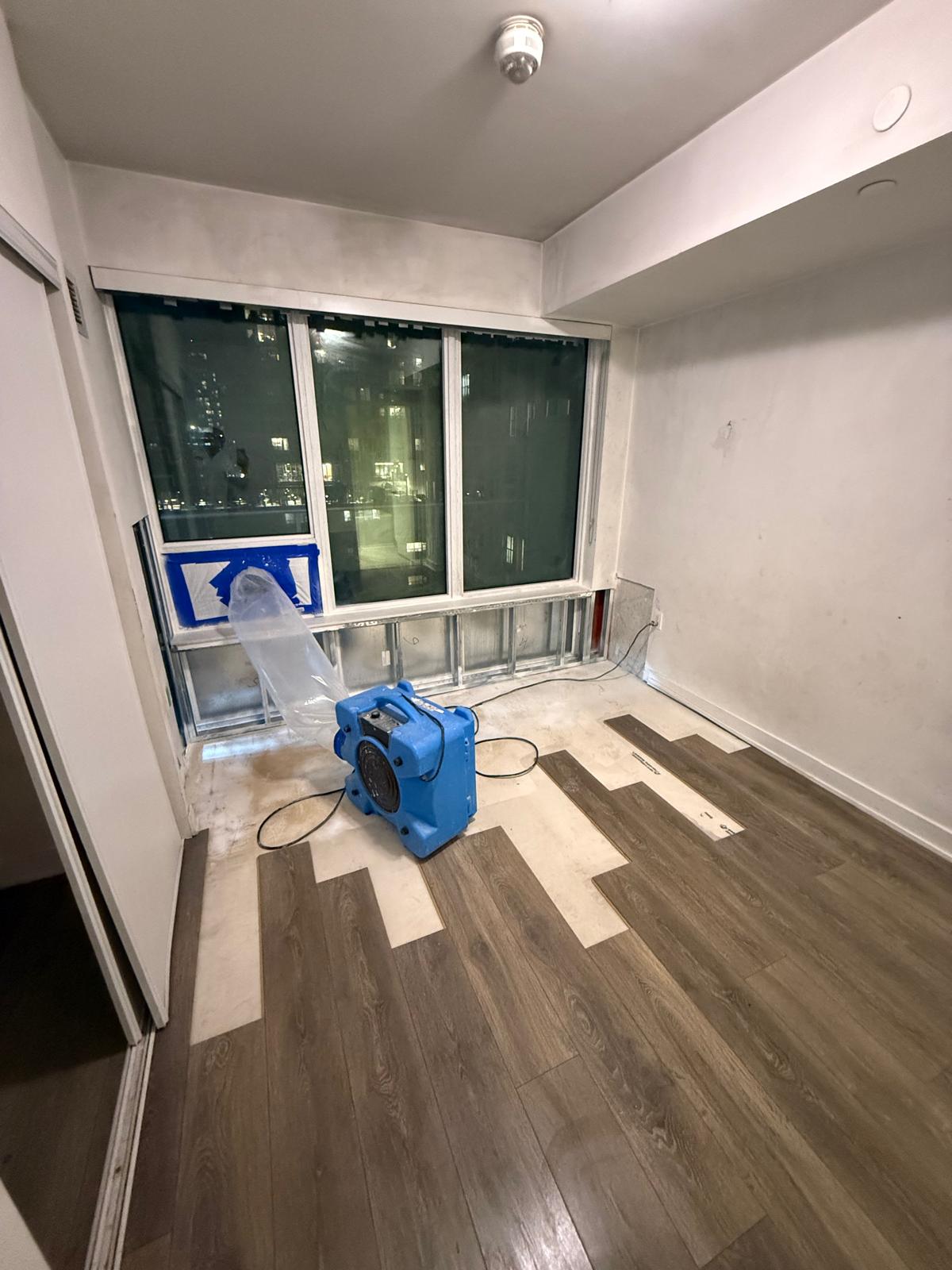 Interior Mold damage - after_