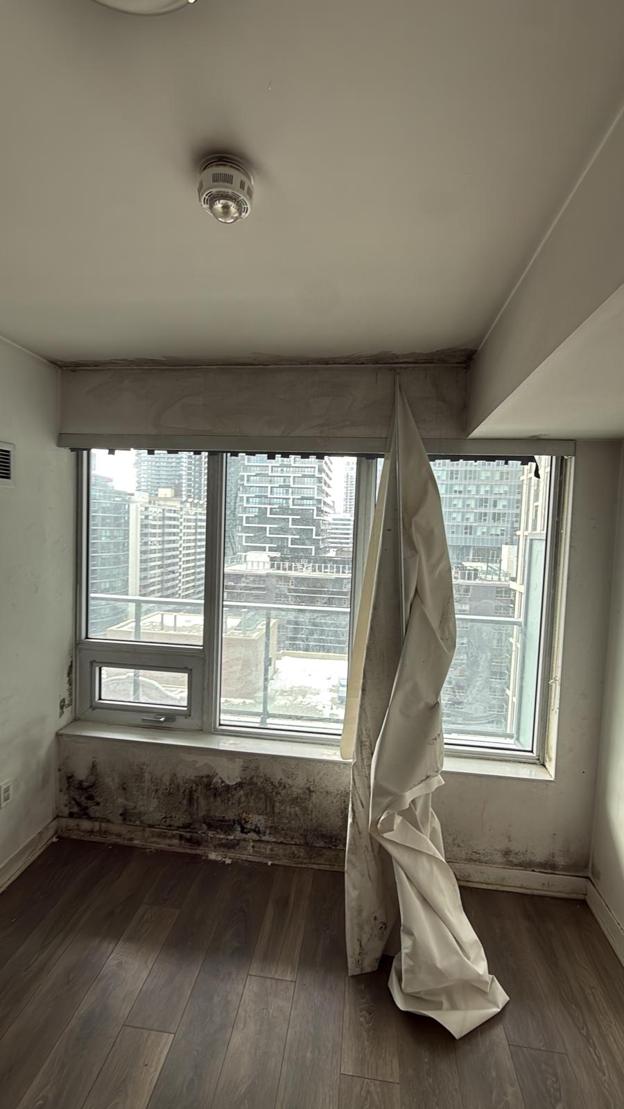Interior Mold damage before_