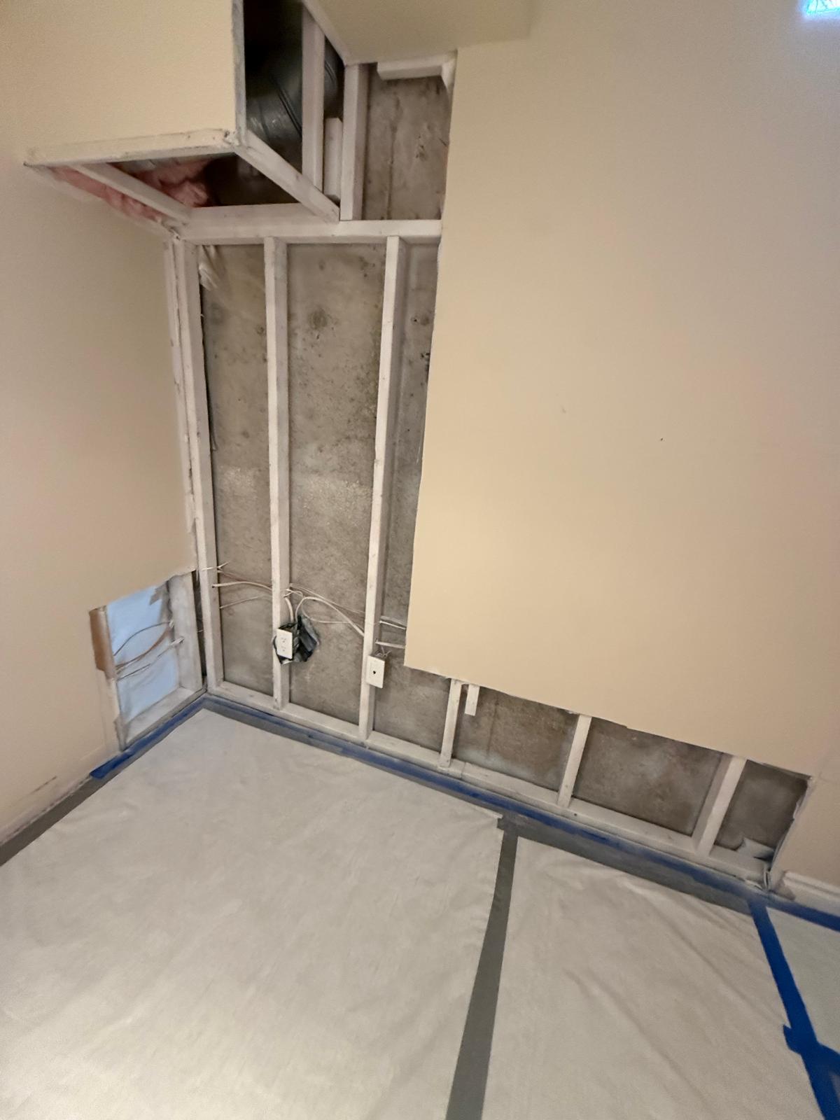 Exterior Water damage causing mold - after (toronto)
