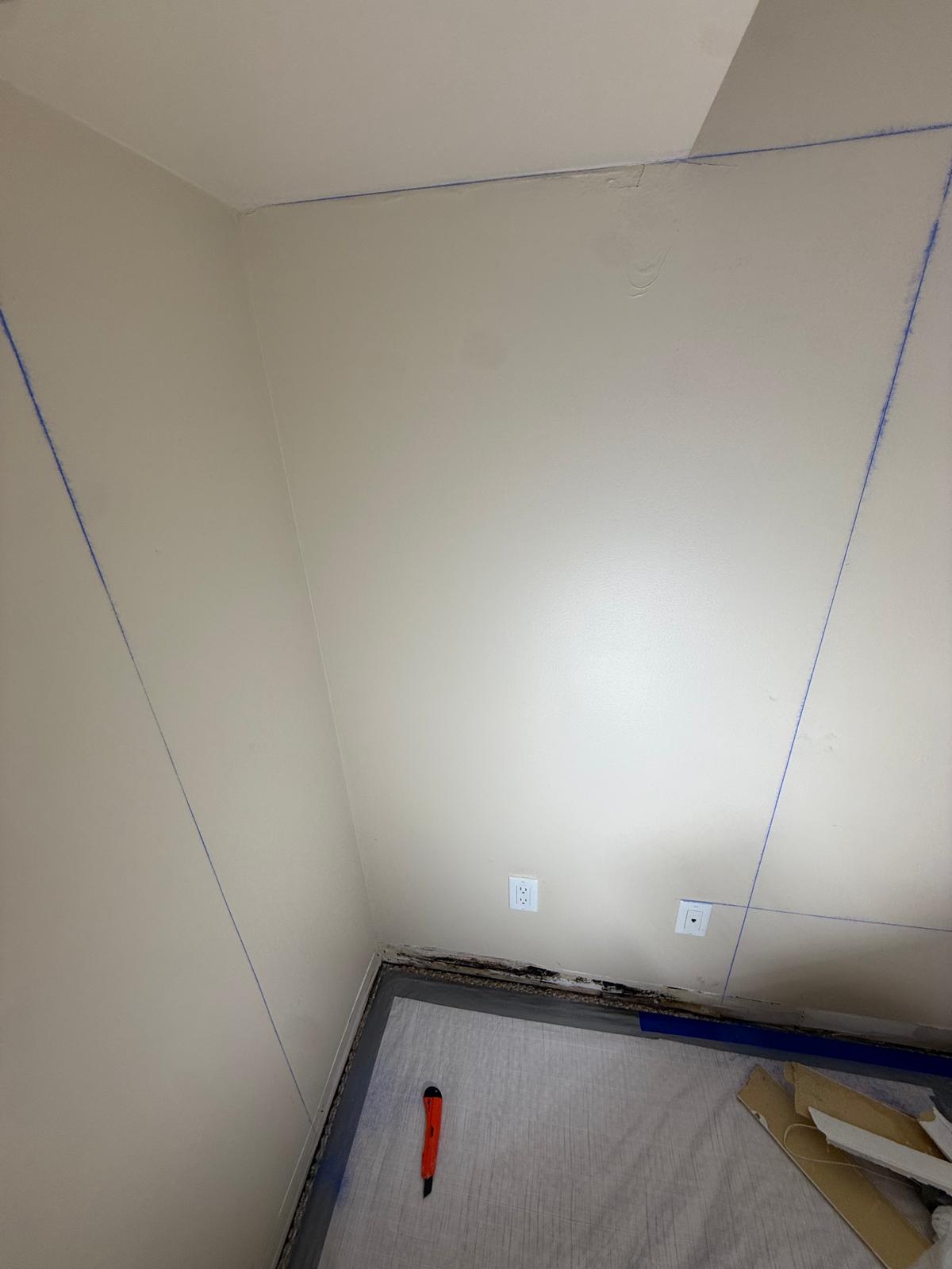 Exterior Water damage causing mold - before (toronto)