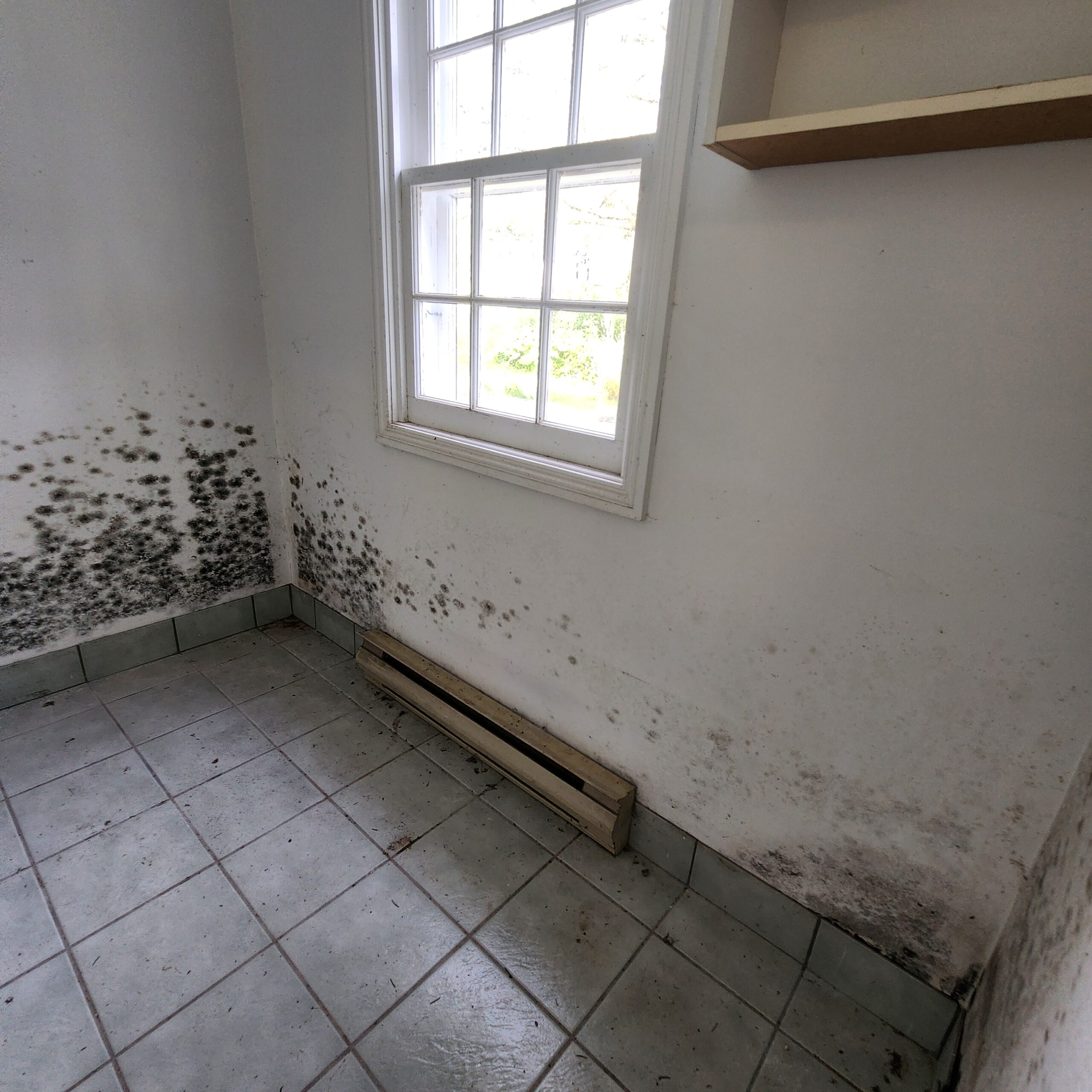 Interior demolition mold -before_