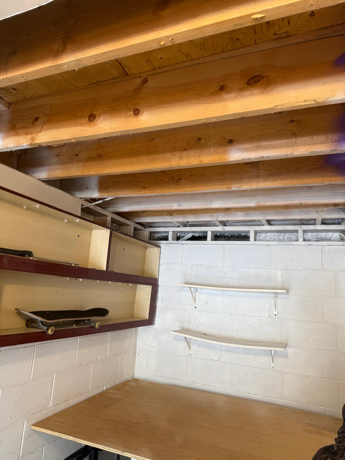Garage mold removal -after