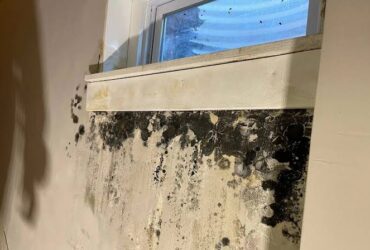 Mold After Window Leakage toronto removal Mold After Window Leakage toronto removal