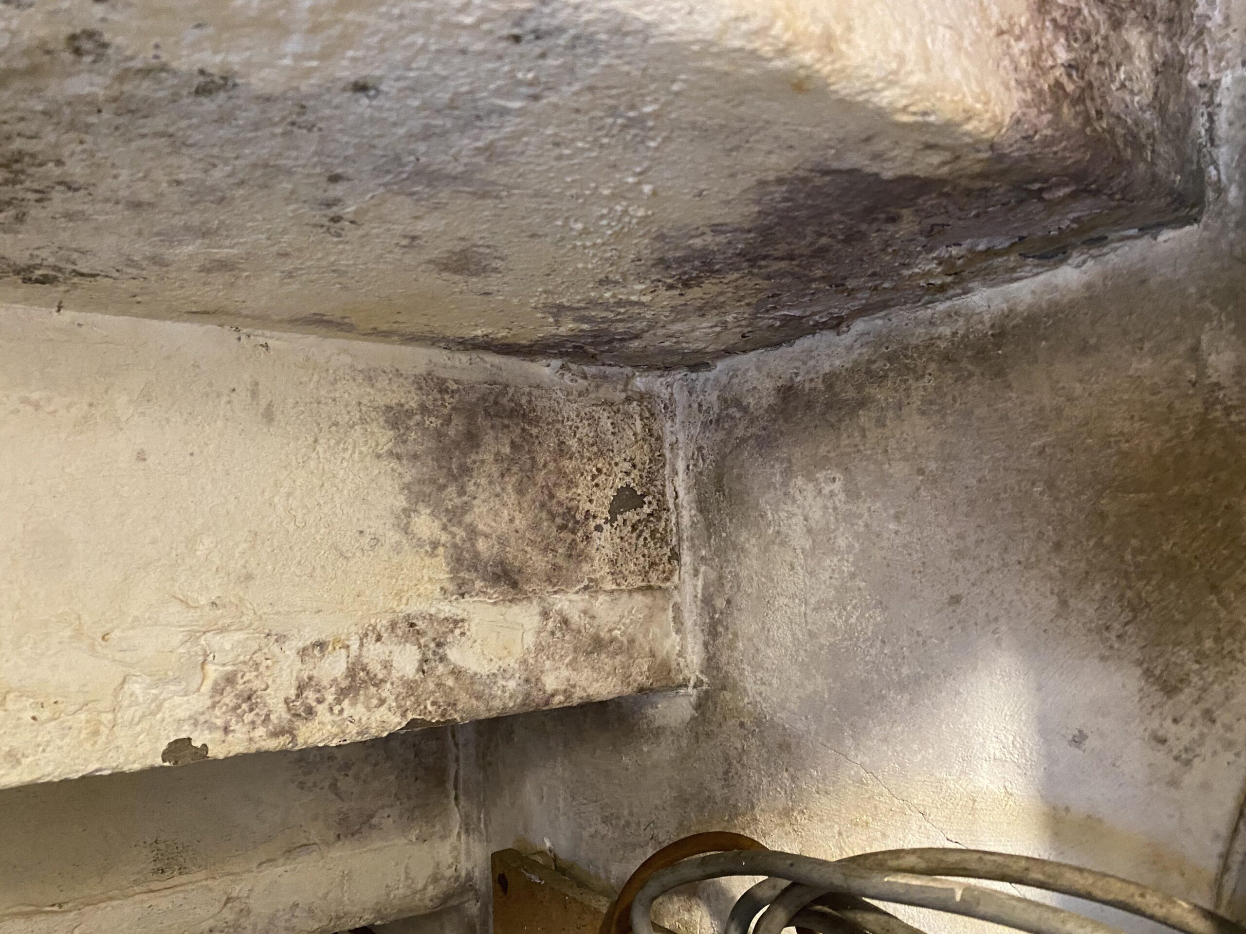 Mold Removal Under Stairs & Enclosed Storage Areas in Basement Toronto