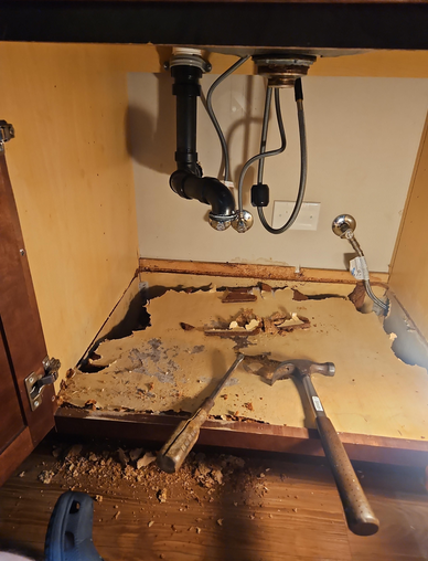 Mold Under Bathroom Vanity