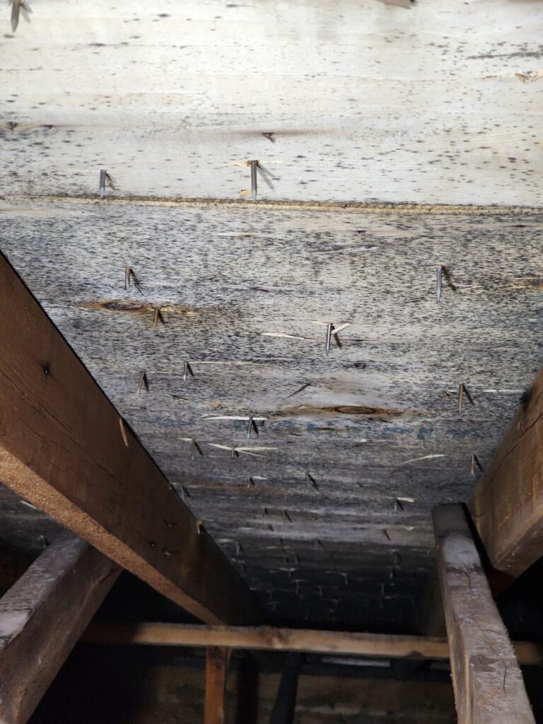 Mold After Roof Leak