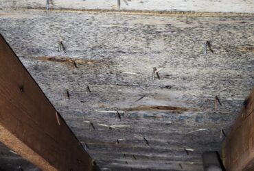 Mold After Roof Leak