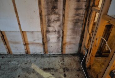 view-basement-room-that-has-Mold in Basement Walls