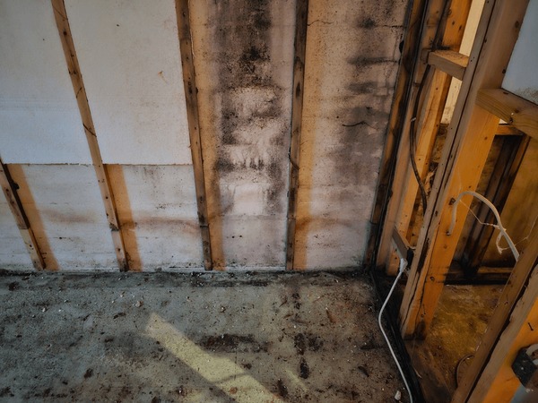 view-basement-room-that-has-Mold in Basement Walls